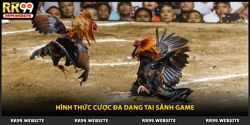 Hình thức cược đa dạng tại sảnh game