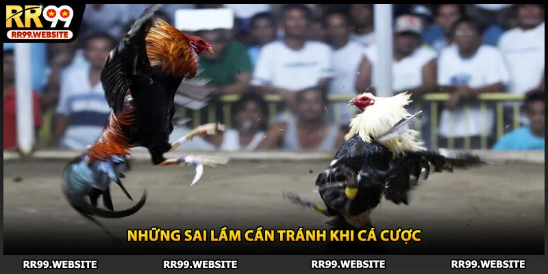 Những sai lầm cần tránh khi cá cược