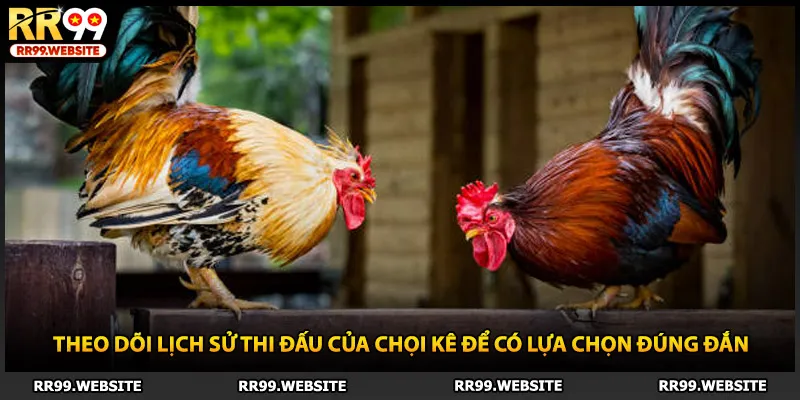 Theo dõi lịch sử thi đấu của chọi kê để có lựa chọn đúng đắn