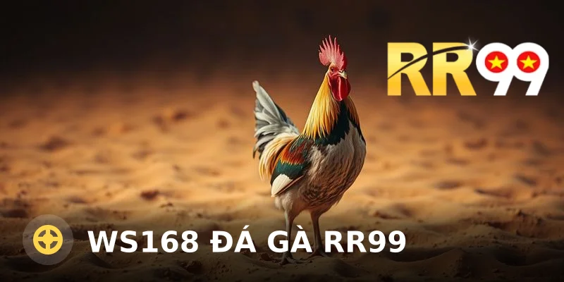 WS168 đá gà RR99: Hướng dẫn chơi và mẹo hiệu quả